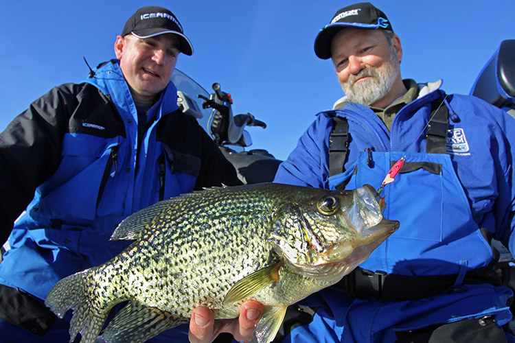 Anglers admiring crappie