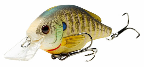 LiveTarget Bluegill Squarebill