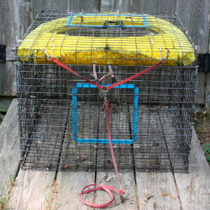 D.I.Y Dockside Bait Pen