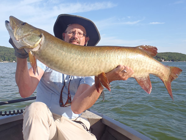 Bottom bouncing a spoonplug in early July triggered this 44-inch, 20-pound-plus muskie to strike.