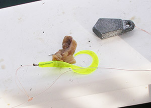 A standard cod bait-fishing rig