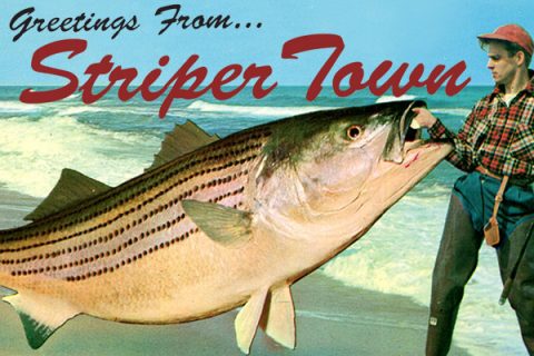Greetings From Striper Town