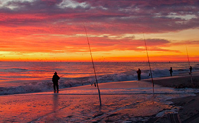 Island Beach State Park