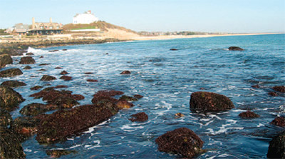 A rocky shoreline with some white wate
