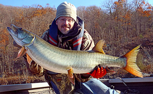 Trolling a deep breaking shoreline resulted in this stout muskie.  