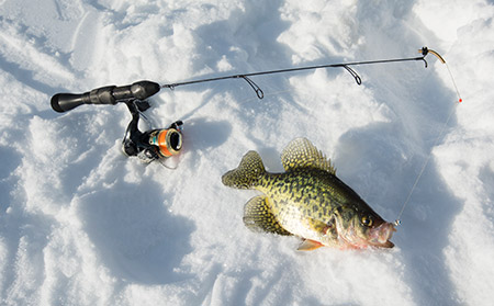 St. Croix's Legend ice crappie