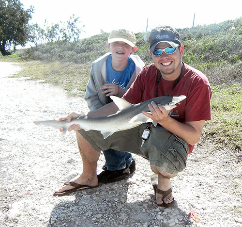 Bonnethead Shark