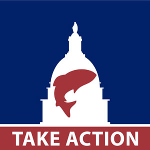 Fish_Capitol_Take_Action_300x300[1]