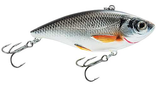 LiveTarget Golden Shiner