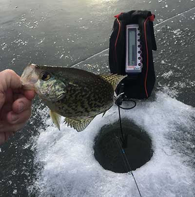 Tyler Grabowski caught quite a few Crappie during a recent ice fishing trip to Hills Creek Lake.