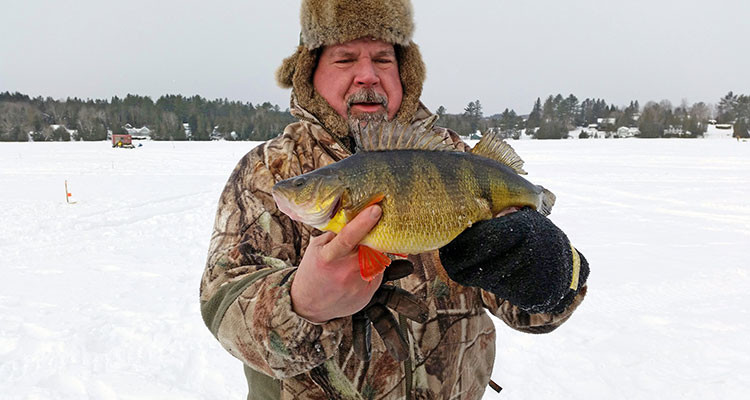 Keith Sherwood of Hinesburg with the state record yellow perch he caught while ice fishing on Caspian Lake in 2015.