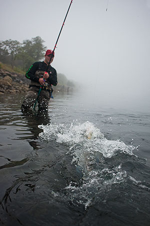 jimmy-fighting-striper