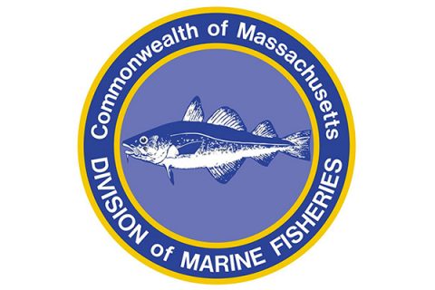 Massachusetts Division of Marine Fisheries