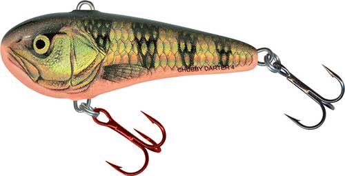 Salmo Chubby Darter