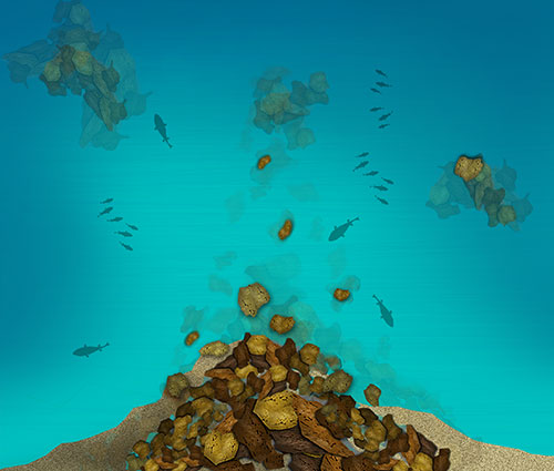 Once the tide stops flowing, the fish will begin roaming around