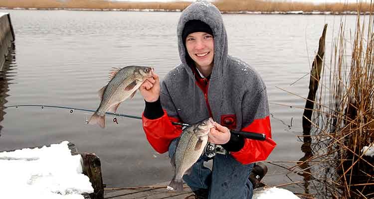 Winter White Perch