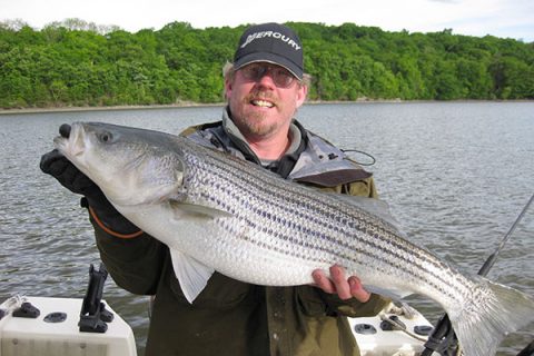 Bait fishing is best for targeting Hudson stripers.