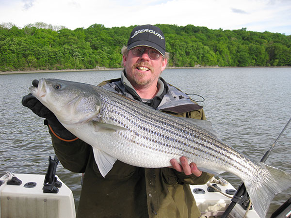 Bait fishing is best for targeting Hudson stripers.