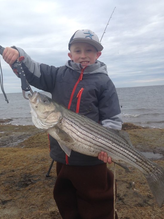 Gravelling Point NJ Striper