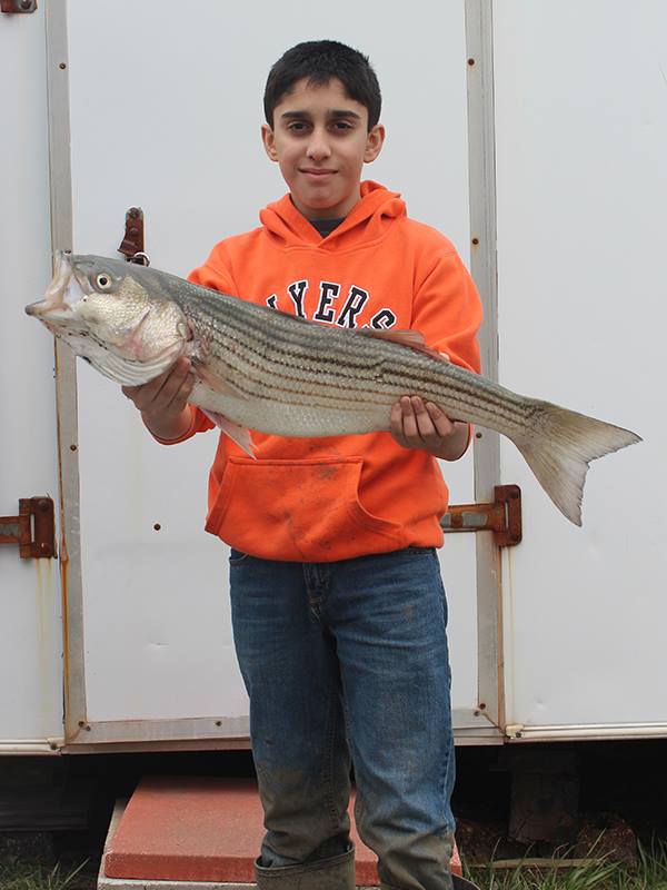 Nick Martone caught this 29-inch striper in the Mullica River. 