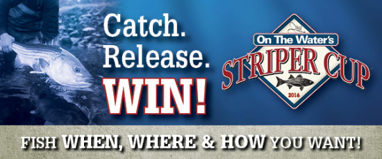 Striper Cup Catch Release