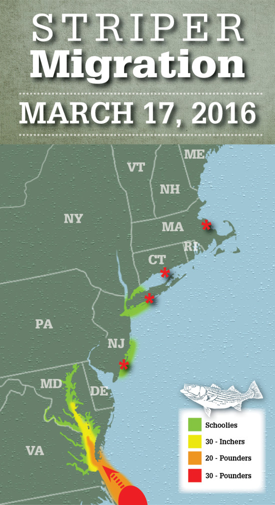 Striper Migration Map