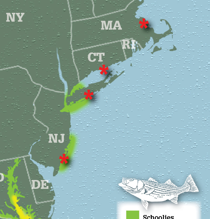 Striper Migration Map