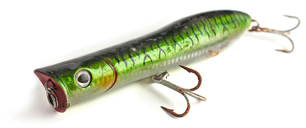 Tsunami Talkin&rsquo; Popper