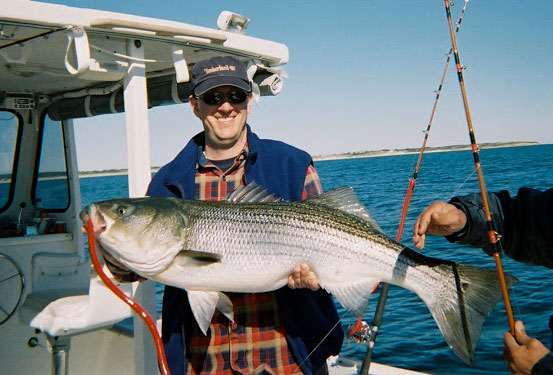 edg-tube-n-worm-striper