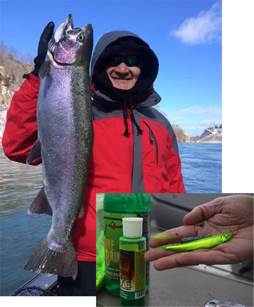 Green minnows for St. Patty's Day!! And this is what you can catch!