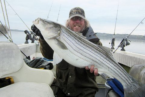 Hudson River Spring Run