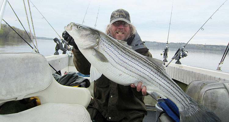 Hudson River Spring Run