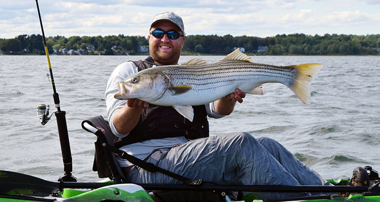 kayak striper