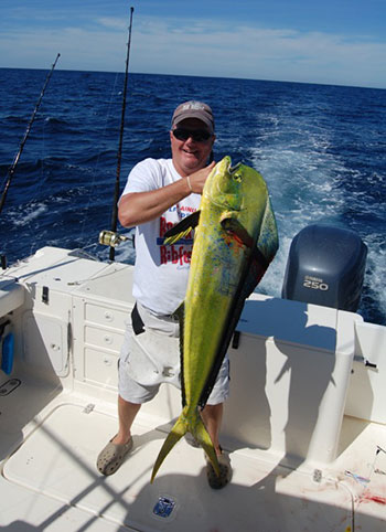 Mahi are more fun on light-tackle trolling gear.