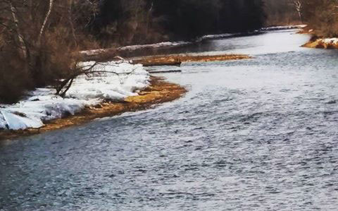 Upper Pine Creek
