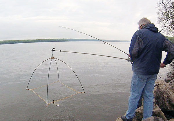 Scap nets are a popular way to catch alewives for bait. 