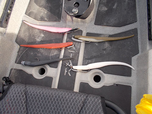 Soft-plastic stickbaits have a great action and can be rigged weedless on swimbait hooks--a big plus when fishing the backwaters.