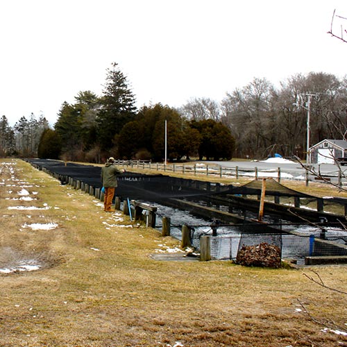 Sandwich Trout Hatchery