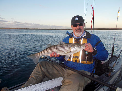Tube-and-worm rigs seem to draw strikes when all other lures and tactics fail.