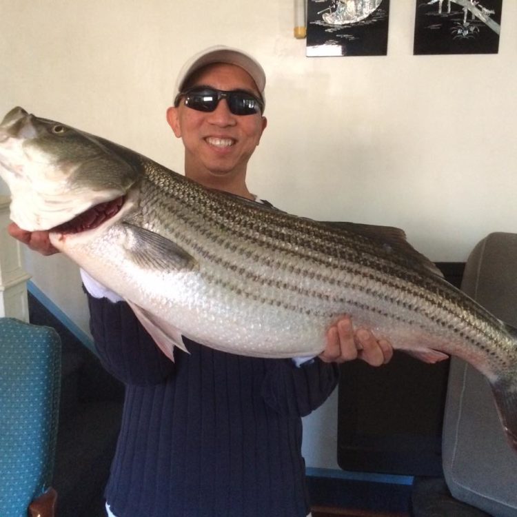 Bloodworms are working for quality stripers like this shore-caught 37-incher checked in at On Stop Bait and Tackle in Atlantic City.