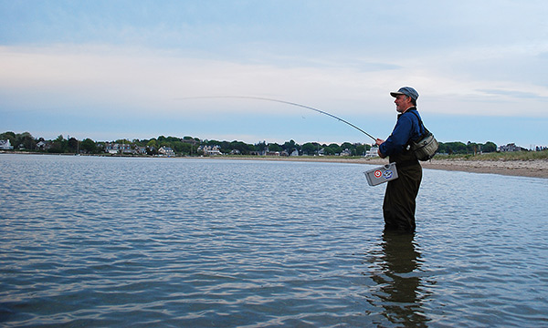 A six- to eight-weight fly rod with a floating weight-forward fly line is the ideal setup for targeting spring schoolies in shallow water.