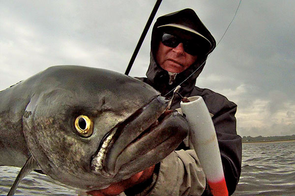 The late Bob McGinley holds up a topwater-caught gator bluefish.