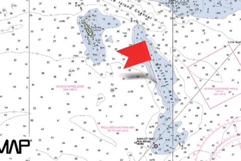 C-MAP Featured Hotspot: Bartlett Reef