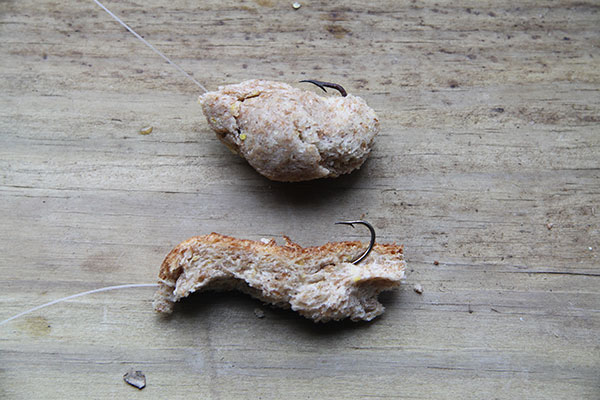 Examples of sinking and floating bread baits for carp