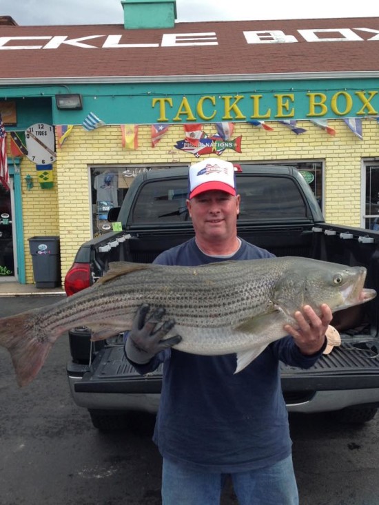 Don Derrick with a 31-pound bass weighed in at the Tackle Box in Hazlet.