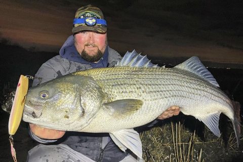 Fishing Bottle Plugs and Darters For Stripers