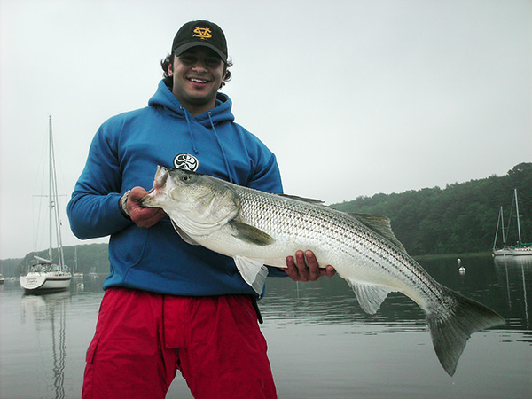 spring striper that was caught well up inside a mooring field.