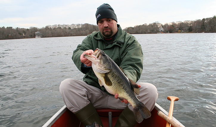 jerk shad largemouth