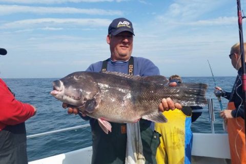 Selective Spring Tautog Fishing