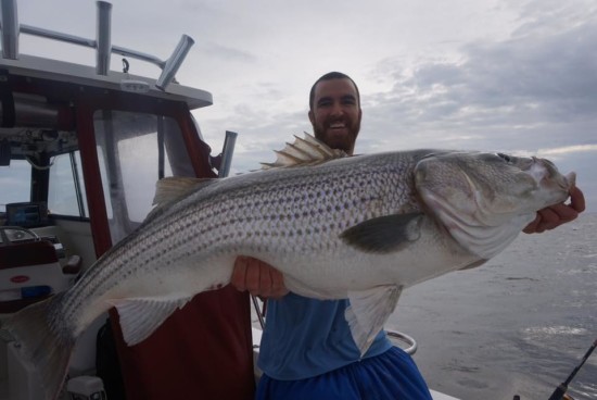 Chesapeake Rockfish fishing